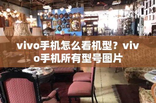 vivo手机怎么看机型？vivo手机所有型号图片