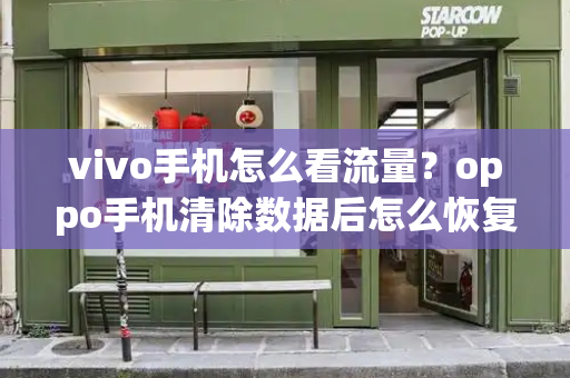 vivo手机怎么看流量？oppo手机清除数据后怎么恢复-第1张图片-星选测评