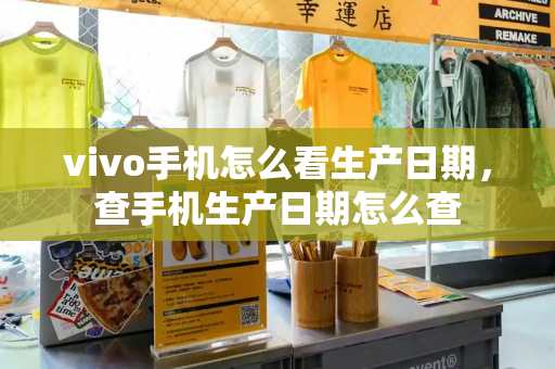 vivo手机怎么看生产日期，查手机生产日期怎么查-第1张图片-星选测评