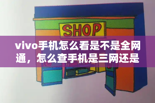 vivo手机怎么看是不是全网通，怎么查手机是三网还是两网-第1张图片-星选测评
