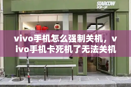 vivo手机怎么强制关机，vivo手机卡死机了无法关机-第1张图片-星选测评