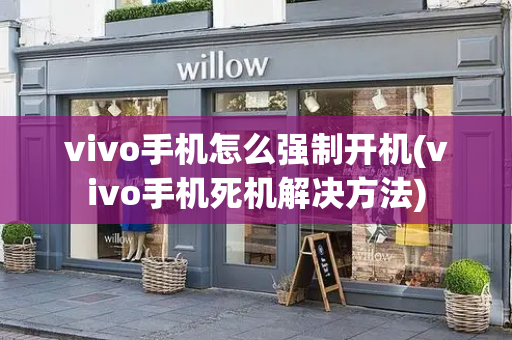vivo手机怎么强制开机(vivo手机死机解决方法)-第1张图片-星选测评