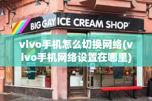 vivo手机怎么切换网络(vivo手机网络设置在哪里)-第1张图片-星选测评