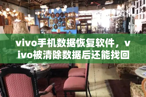 vivo手机数据恢复软件，vivo被清除数据后还能找回不