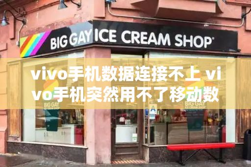 vivo手机数据连接不上 vivo手机突然用不了移动数据