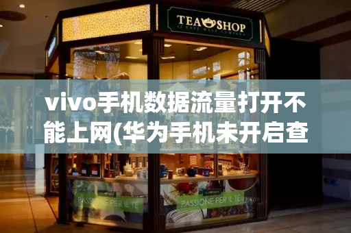 vivo手机数据流量打开不能上网(华为手机未开启查找设备能否查到)-第1张图片-星选测评