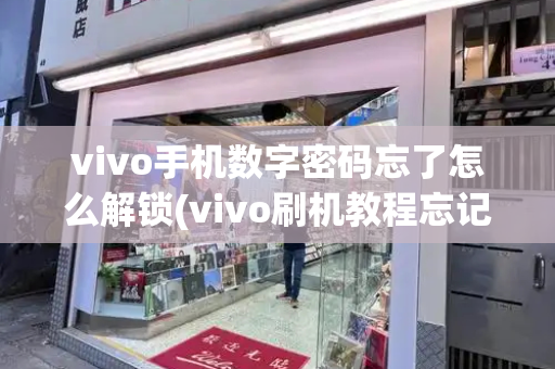 vivo手机数字密码忘了怎么解锁(vivo刷机教程忘记解锁密码)