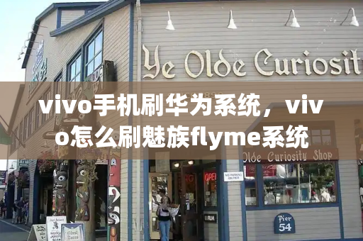 vivo手机刷华为系统，vivo怎么刷魅族flyme系统-第1张图片-星选测评