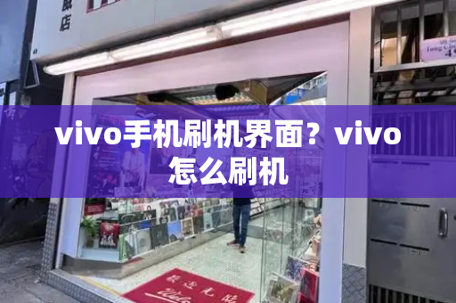 vivo手机刷机界面？vivo怎么刷机