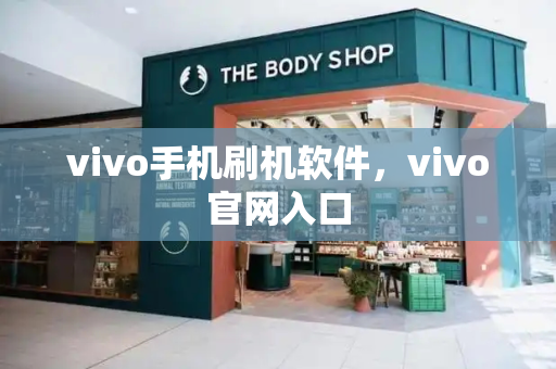 vivo手机刷机软件，vivo官网入口-第1张图片-星选测评