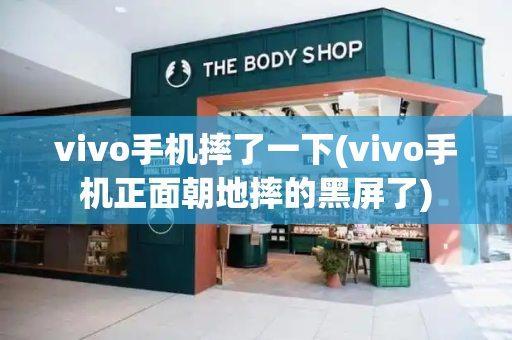 vivo手机摔了一下(vivo手机正面朝地摔的黑屏了)-第1张图片-星选测评