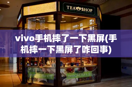 vivo手机摔了一下黑屏(手机摔一下黑屏了咋回事)-第1张图片-星选测评