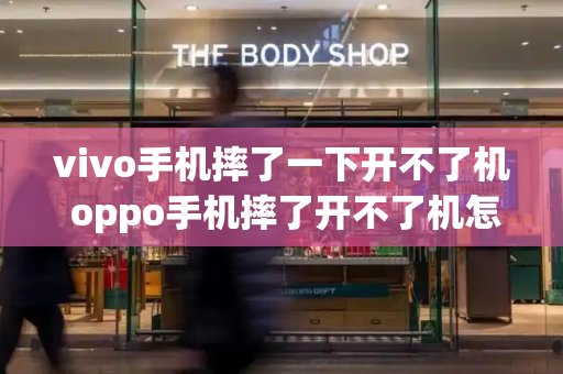 vivo手机摔了一下开不了机 oppo手机摔了开不了机怎么办-第1张图片-星选测评