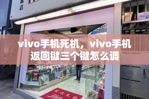 vivo手机死机，vivo手机返回键三个键怎么调