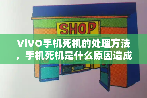 ViVO手机死机的处理方法，手机死机是什么原因造成的-第1张图片-星选测评
