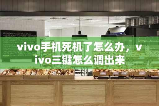 vivo手机死机了怎么办，vivo三键怎么调出来-第1张图片-星选测评