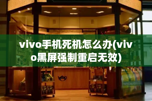 vivo手机死机怎么办(vivo黑屏强制重启无效)