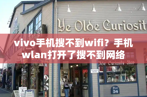 vivo手机搜不到wifi？手机wlan打开了搜不到网络-第1张图片-星选测评