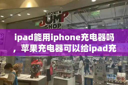 ipad能用iphone充电器吗，苹果充电器可以给ipad充电吗-第1张图片-星选测评
