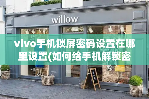 vivo手机锁屏密码设置在哪里设置(如何给手机解锁密码vivo)
