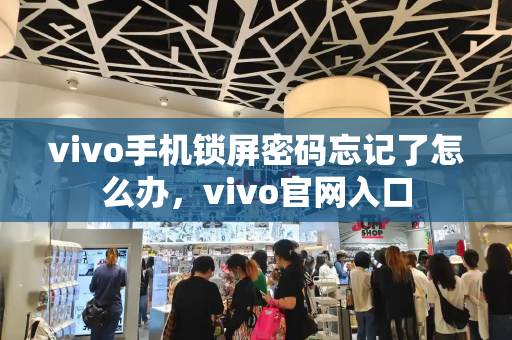 vivo手机锁屏密码忘记了怎么办，vivo官网入口