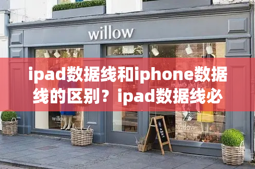 ipad数据线和iphone数据线的区别？ipad数据线必须用原装的吗-第1张图片-星选测评