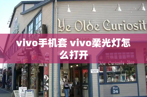vivo手机套 vivo柔光灯怎么打开