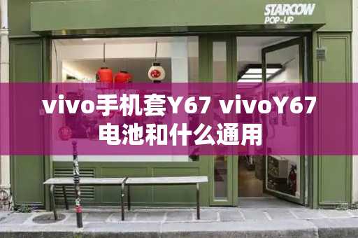 vivo手机套Y67 vivoY67电池和什么通用-第1张图片-星选测评