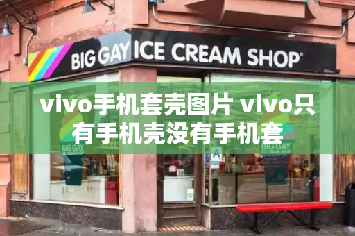 vivo手机套壳图片 vivo只有手机壳没有手机套