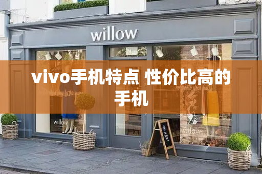 vivo手机特点 性价比高的手机