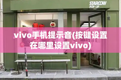 vivo手机提示音(按键设置在哪里设置vivo)