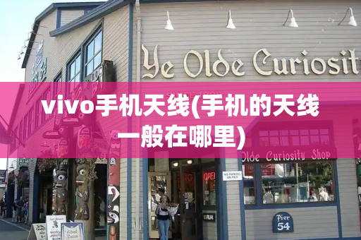 vivo手机天线(手机的天线一般在哪里)