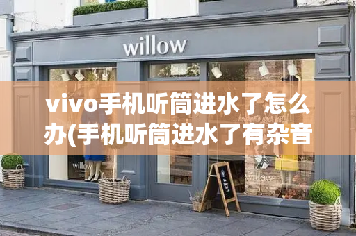 vivo手机听筒进水了怎么办(手机听筒进水了有杂音滋滋怎么办)