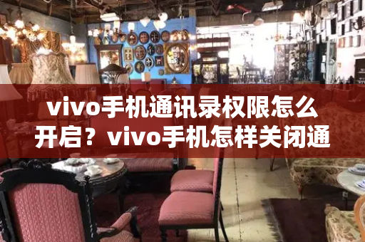 vivo手机通讯录权限怎么开启？vivo手机怎样关闭通讯录授权-第1张图片-星选测评