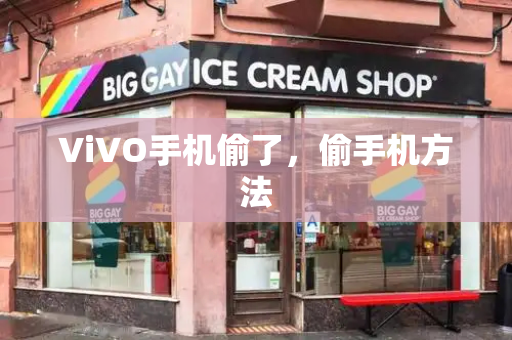 ViVO手机偷了，偷手机方法-第1张图片-星选测评