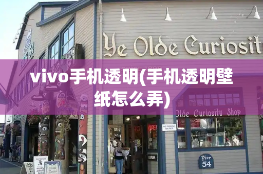 vivo手机透明(手机透明壁纸怎么弄)