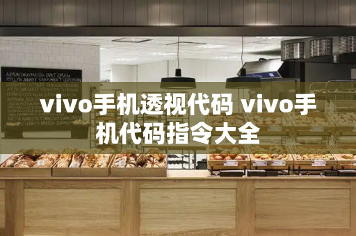 vivo手机透视代码 vivo手机代码指令大全
