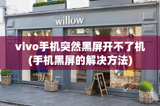 vivo手机突然黑屏开不了机(手机黑屏的解决方法)-第1张图片-星选测评
