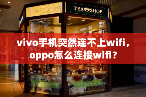 vivo手机突然连不上wifi，oppo怎么连接wifi？-第1张图片-星选测评