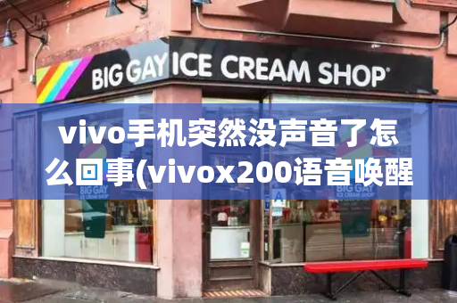 vivo手机突然没声音了怎么回事(vivox200语音唤醒功能)