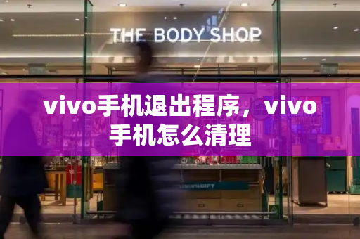 vivo手机退出程序，vivo手机怎么清理
