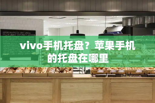vivo手机托盘？苹果手机的托盘在哪里