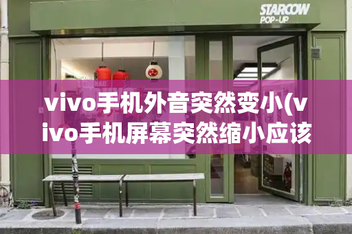 vivo手机外音突然变小(vivo手机屏幕突然缩小应该怎么解决)
