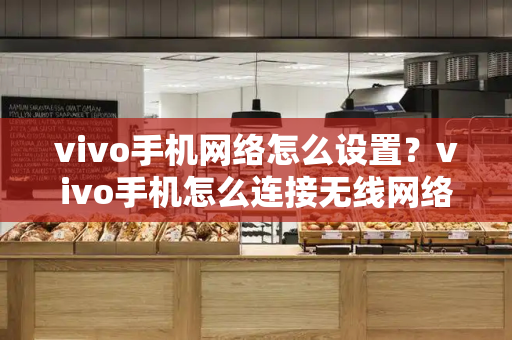 vivo手机网络怎么设置？vivo手机怎么连接无线网络-第1张图片-星选测评