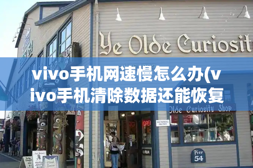 vivo手机网速慢怎么办(vivo手机清除数据还能恢复吗)-第1张图片-星选测评