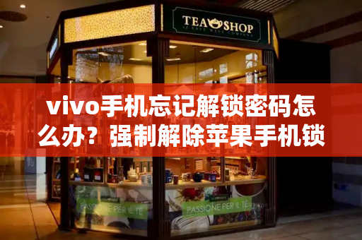 vivo手机忘记解锁密码怎么办？强制解除苹果手机锁屏密码-第1张图片-星选测评