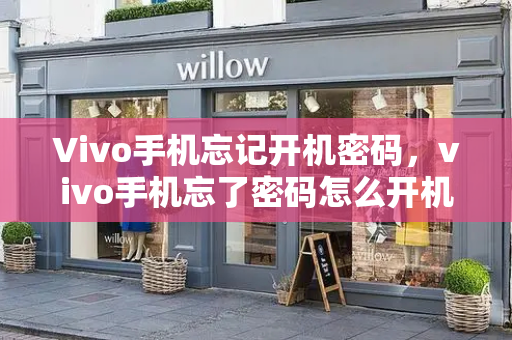 Vivo手机忘记开机密码，vivo手机忘了密码怎么开机