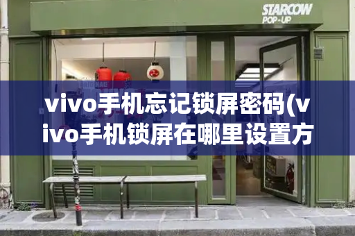 vivo手机忘记锁屏密码(vivo手机锁屏在哪里设置方法)