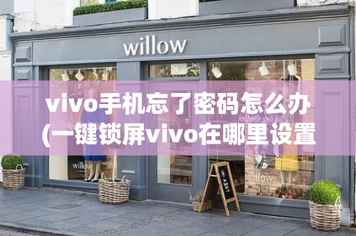 vivo手机忘了密码怎么办(一键锁屏vivo在哪里设置)