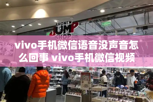 vivo手机微信语音没声音怎么回事 vivo手机微信视频没有声音-第1张图片-星选测评